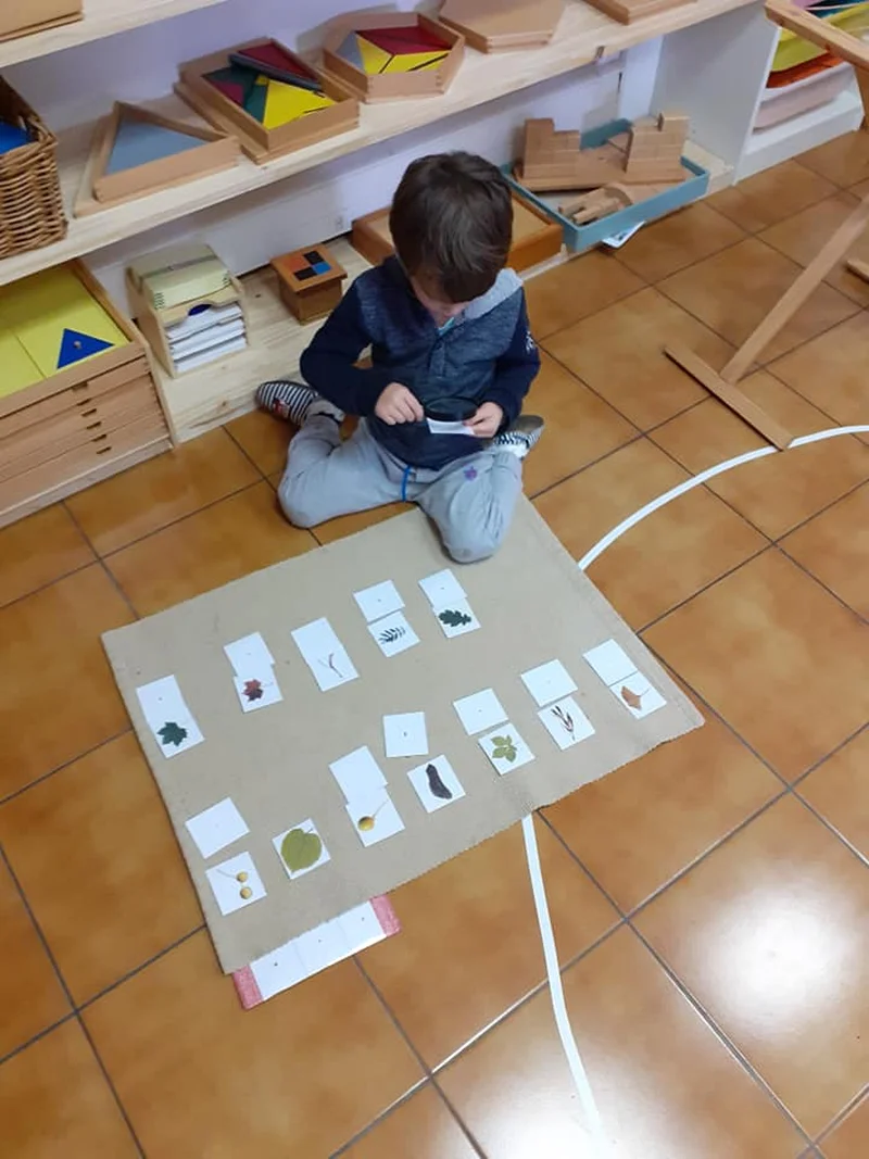 Leyre Des Loupiots Ecole Montessori Bilingue Salles Realisation 8